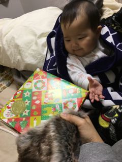 IMG_9991.jpg