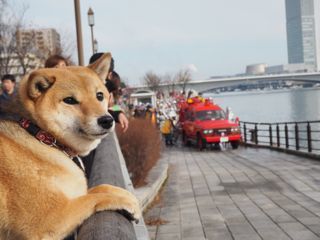 P1080131.jpg