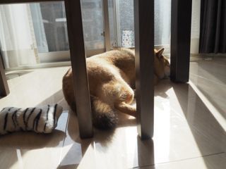 P2010299.jpg