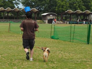 P6210050.jpg