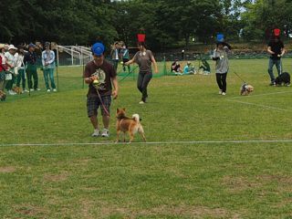 P6210052.jpg