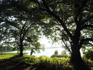 P7260029.jpg