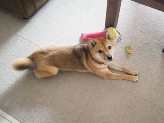 P9100003.jpg