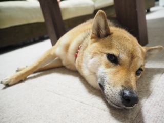 P9150020.jpg