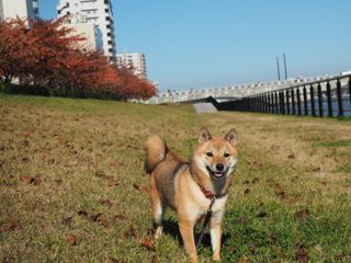 PB040065.jpg