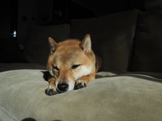 PC070112.jpg
