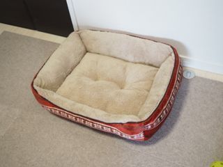 PC260073.jpg