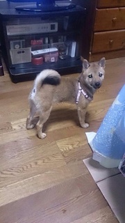 image.jpg