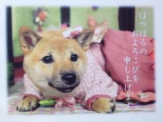 image.jpg