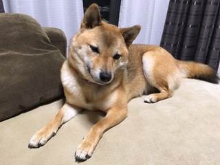 image.jpeg