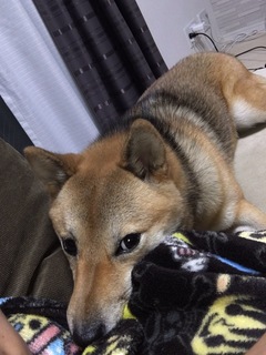 image.jpeg