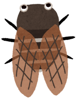 mushi_aburazemi.png