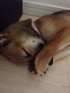 photo 1-63.jpg