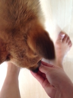 photo 1-79.jpg