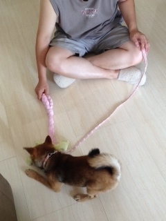 photo 1-89.jpg