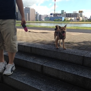 photo 3-89.jpg
