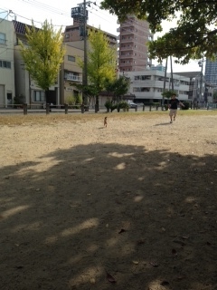 photo 3-99.jpg